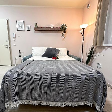 La Rosa Dei Venti Con Parcheggio E Ampio Giardino In Centro Apartment Lucca Ngoại thất bức ảnh